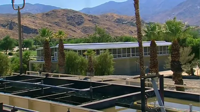A desert water treatment facility with long screened equipment enclosures below mountains and palms